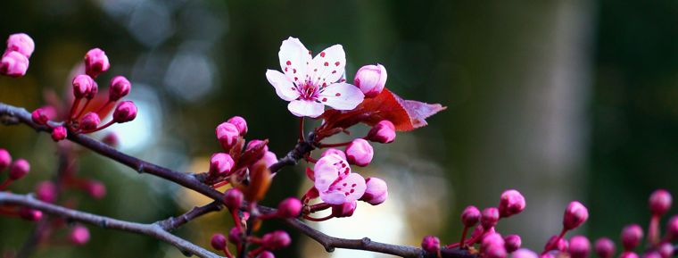 Mothers-day_760