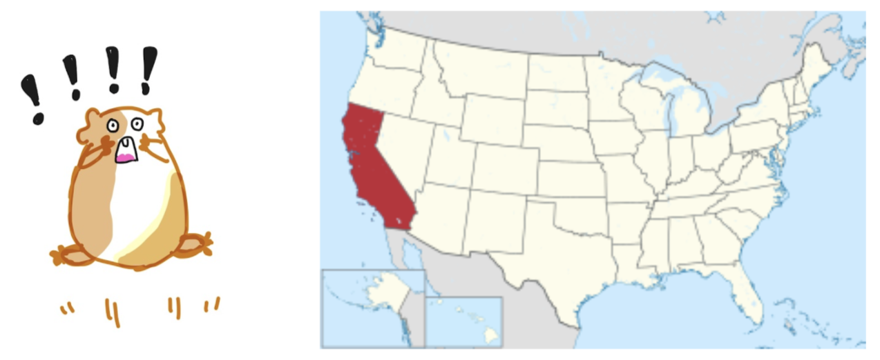 California lowest education funding in the nation